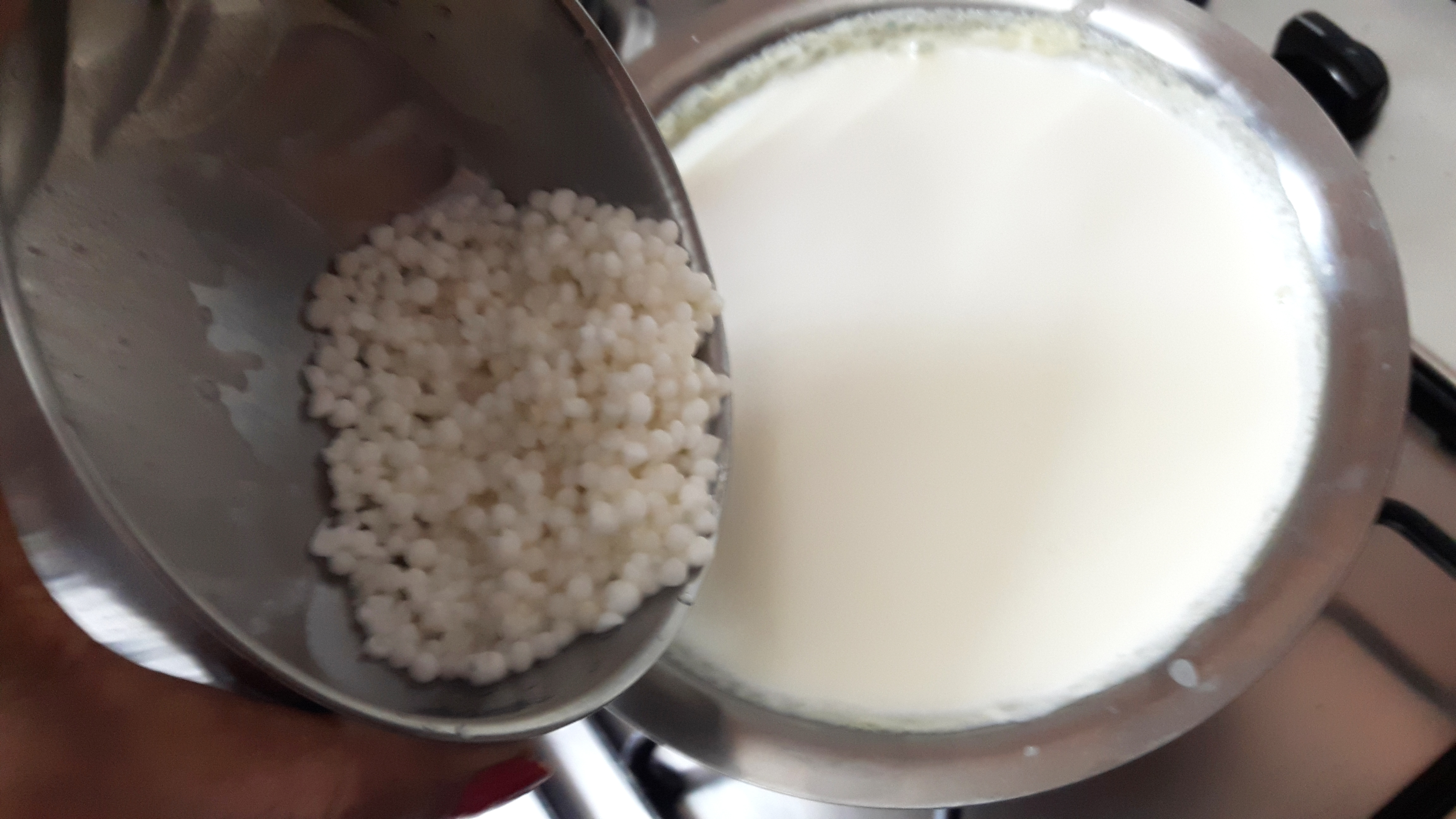 put sabudana