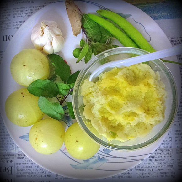 Amala (goose berry) ki chutney