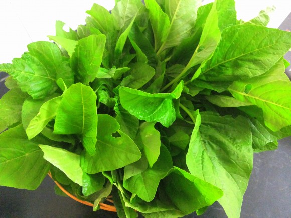 Chaulai (amaranth)