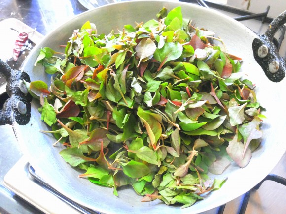 adding punnangani