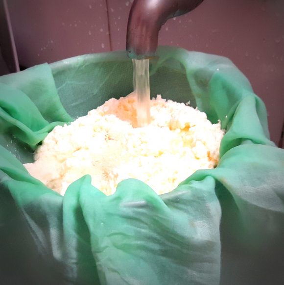 clean and wash this paneer with running water 