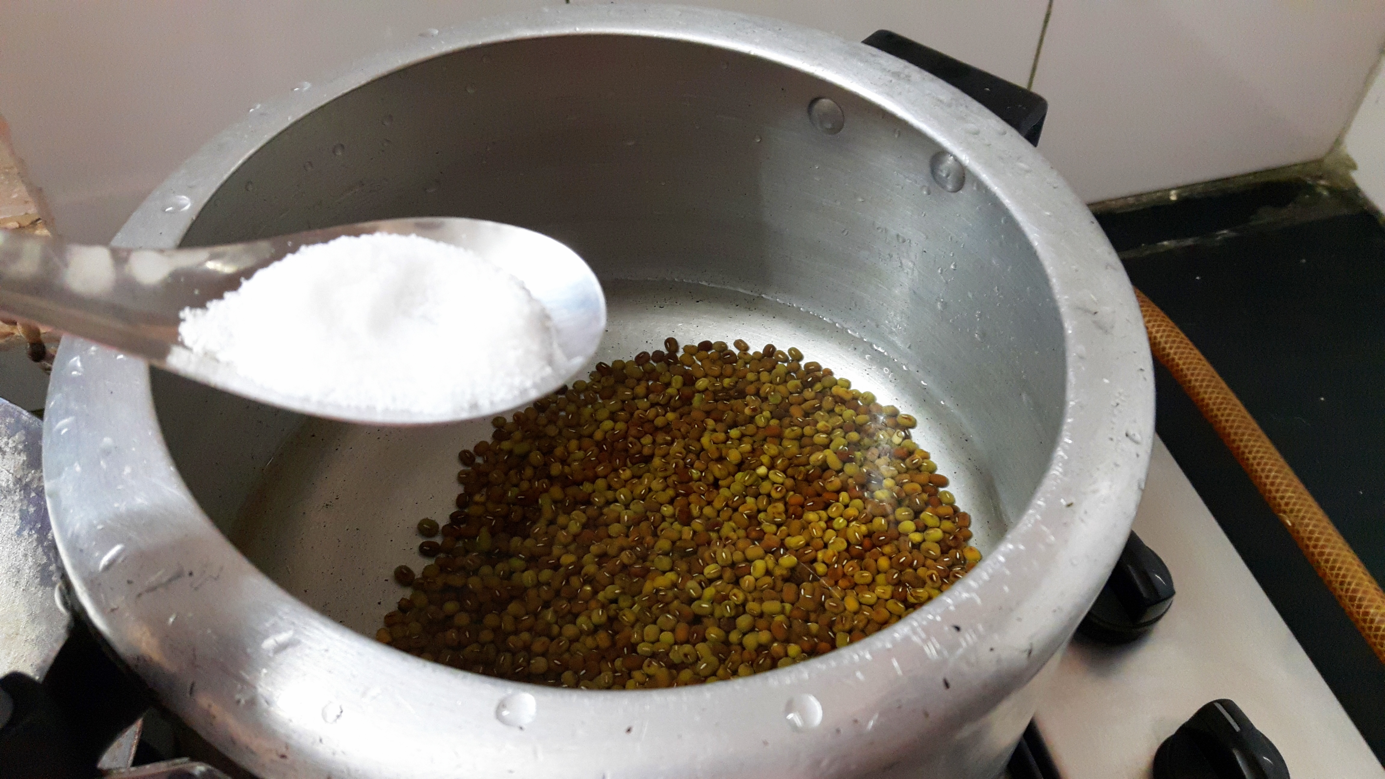 put roasted mung, salt and water