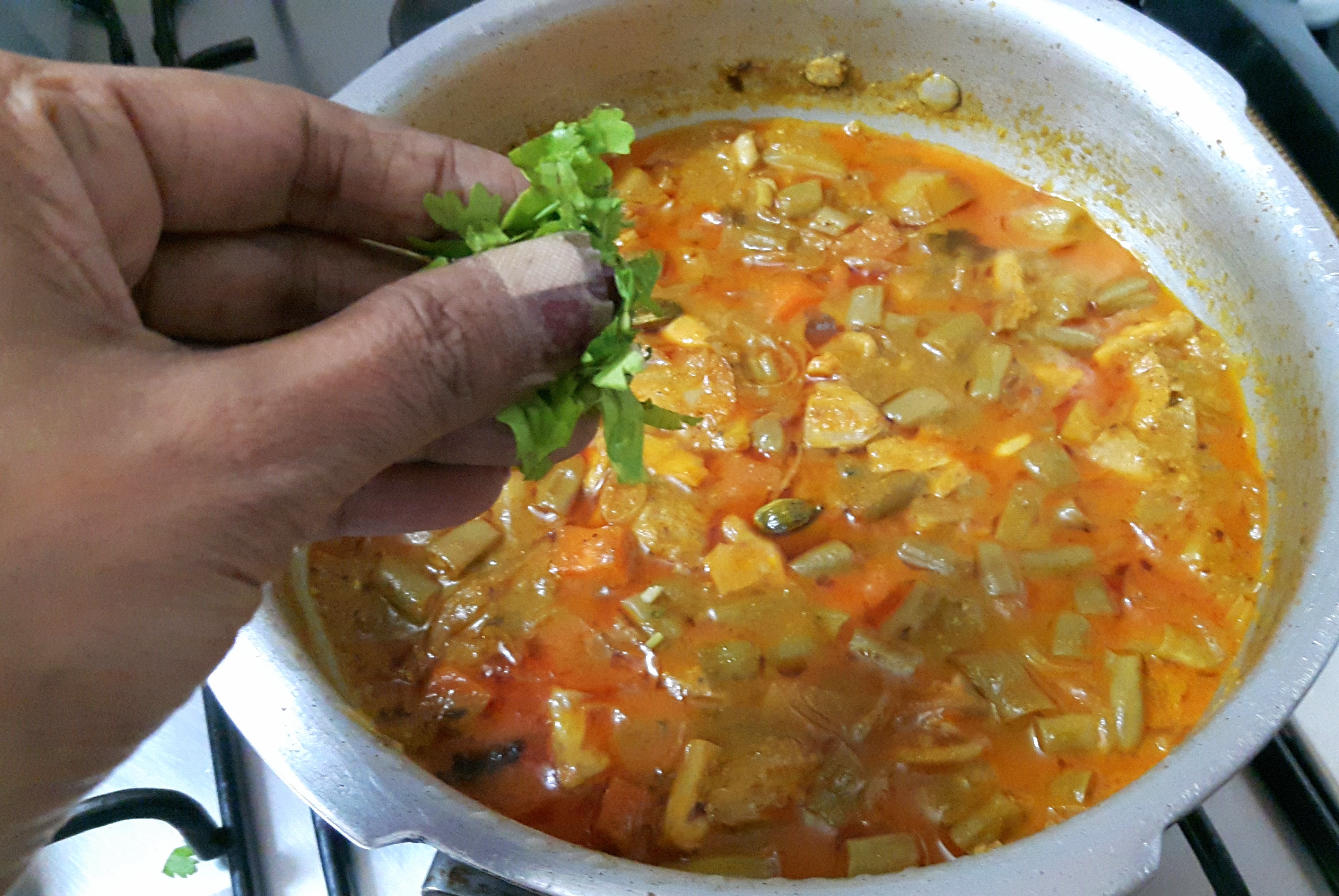 garnish with fresh coriander leaves