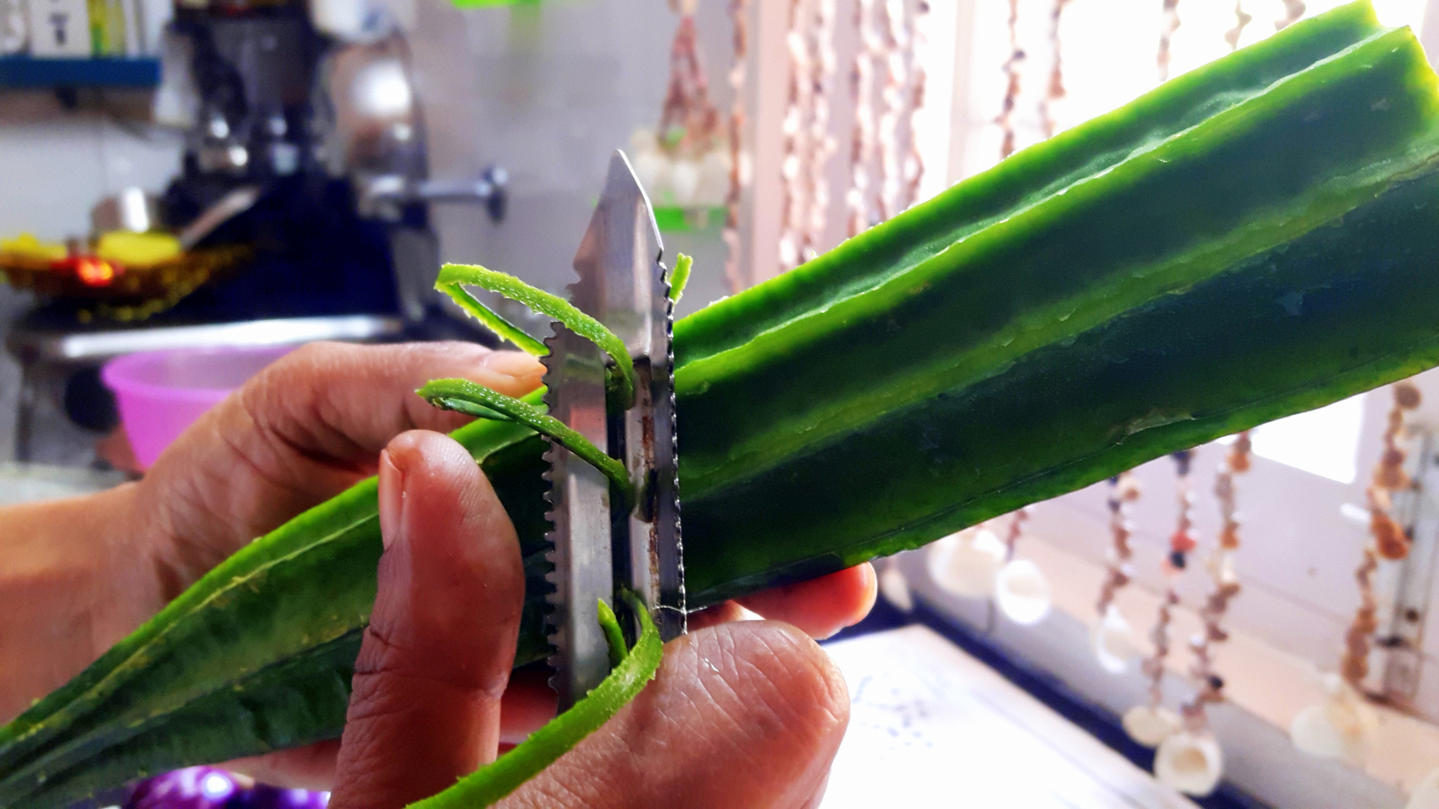 discard the sharp edges and veins of the ridge gourd