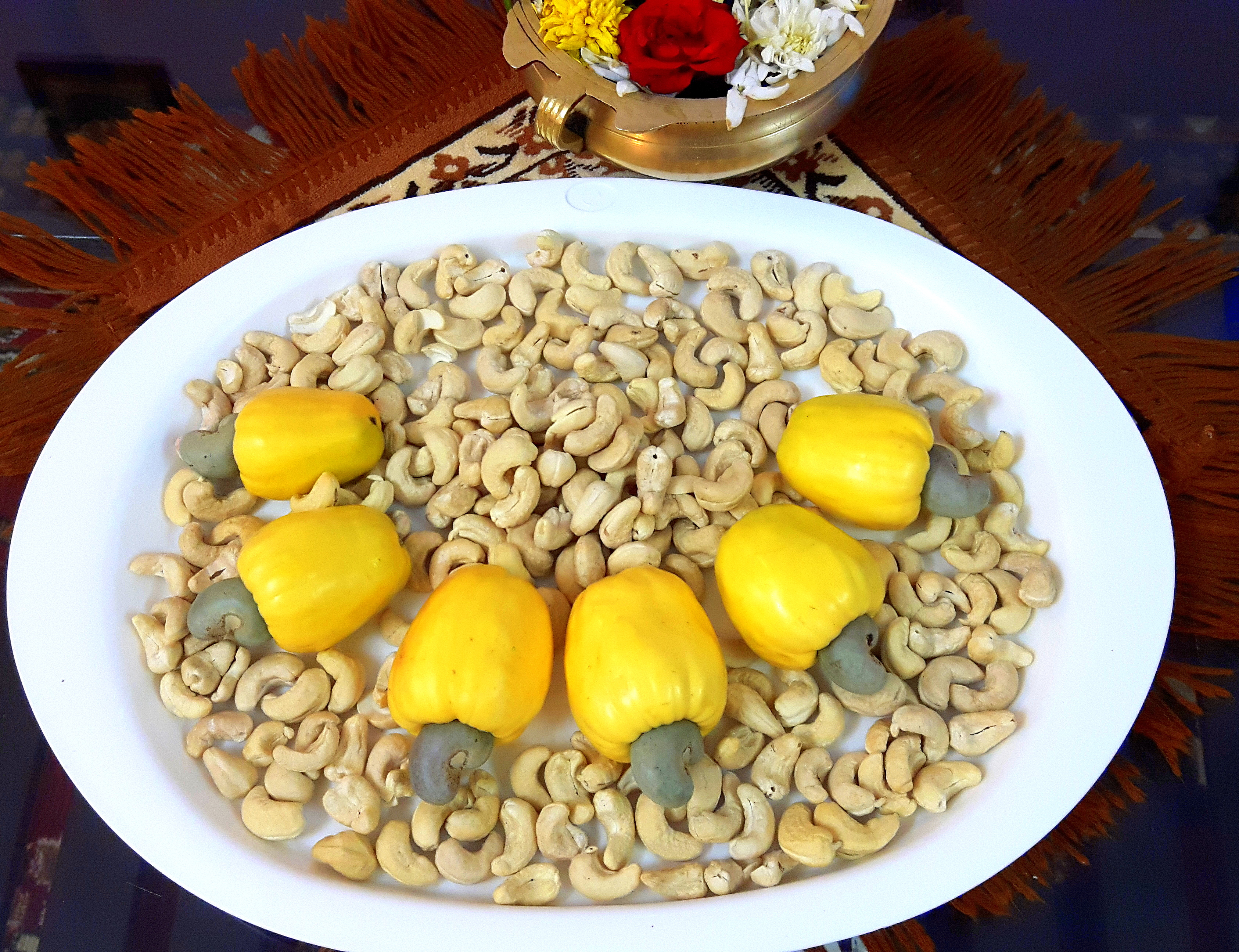 kaju fruit kaju