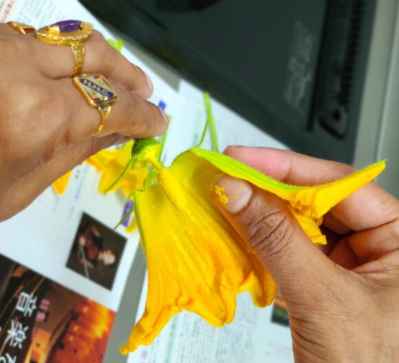 separate the petal, remove stalk and other parts of the flowers
