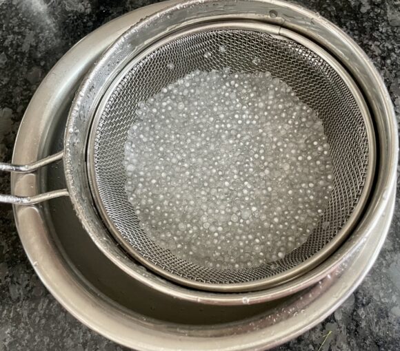 strain sago