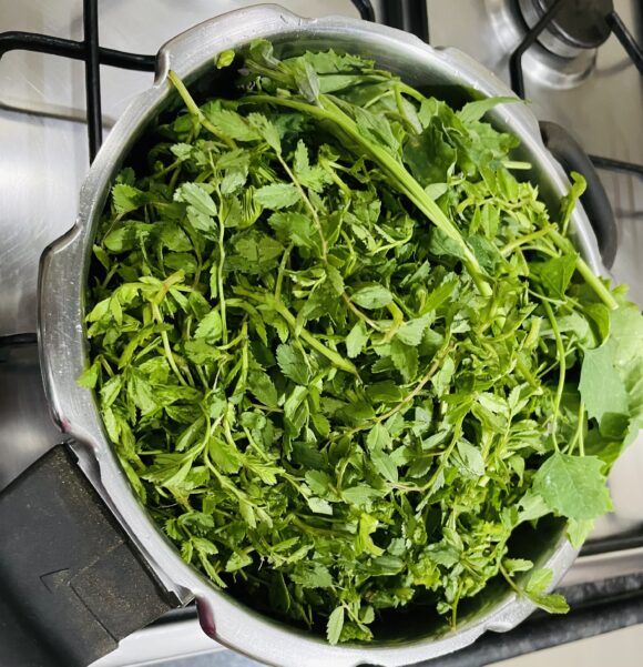 Take cooker; put chana leaf, bathua/spinach, ginger paste, asafoetida and salt with a cup of water.